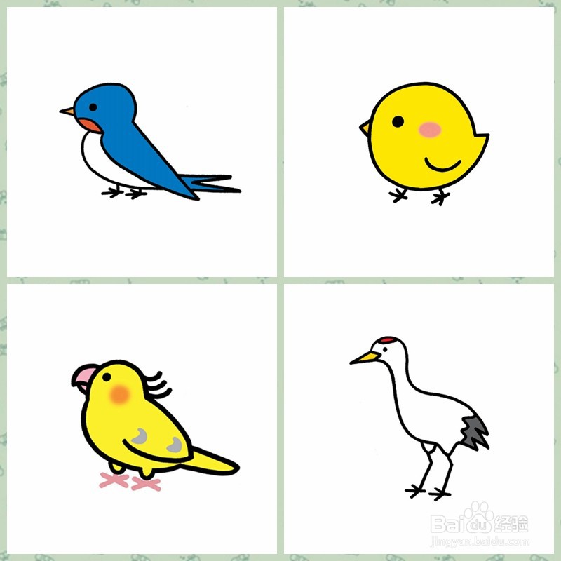 【简笔画】昆虫、鸟类、鱼类的画法