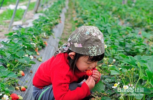 小孩十岁前应该做些什么事情