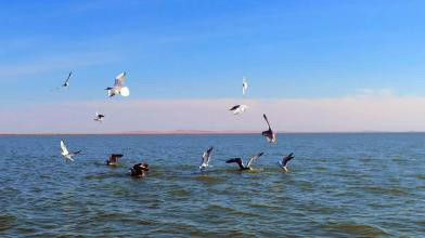 60元畅玩中苏边界满洲里