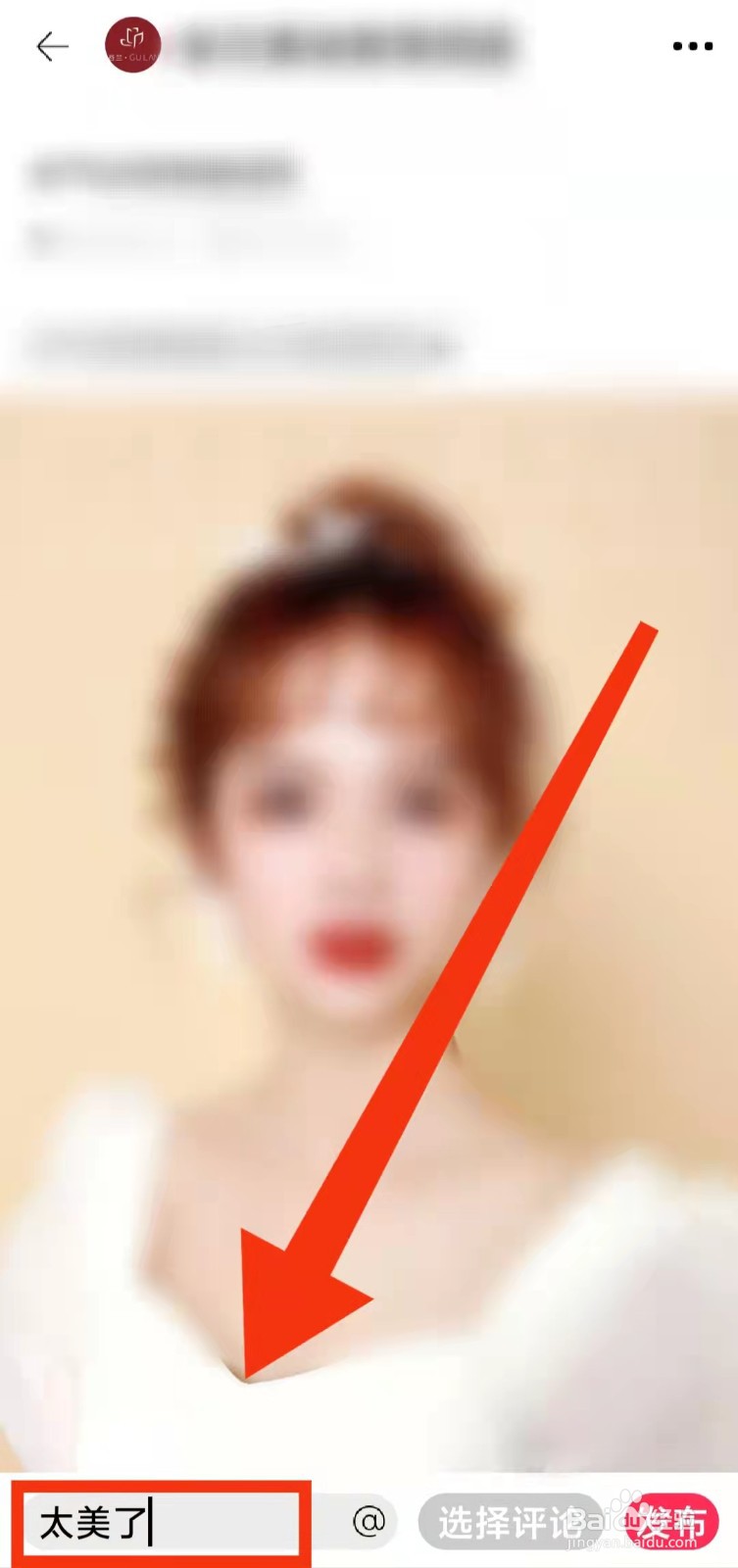 怎样对“黑光图库内容进行评论”