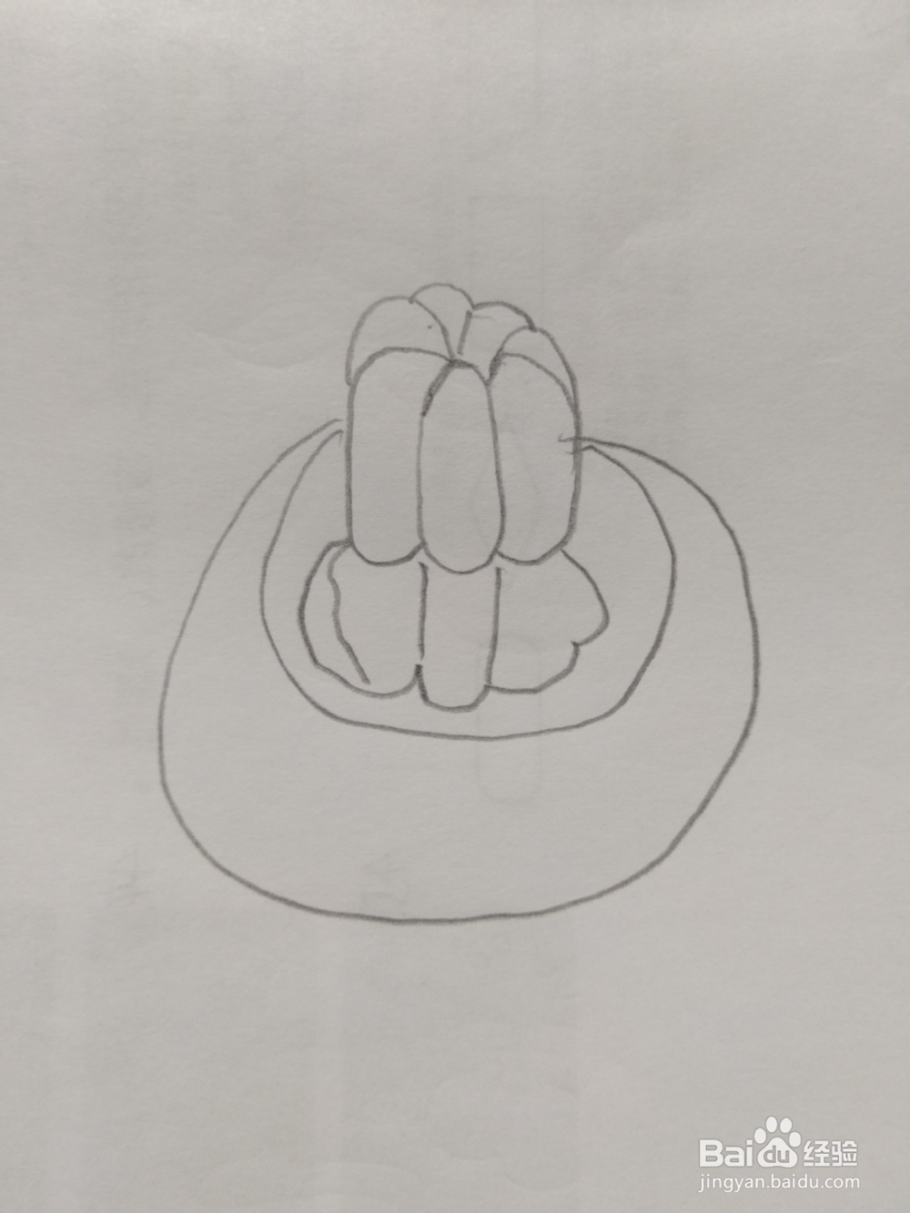 简笔画山竹画法4