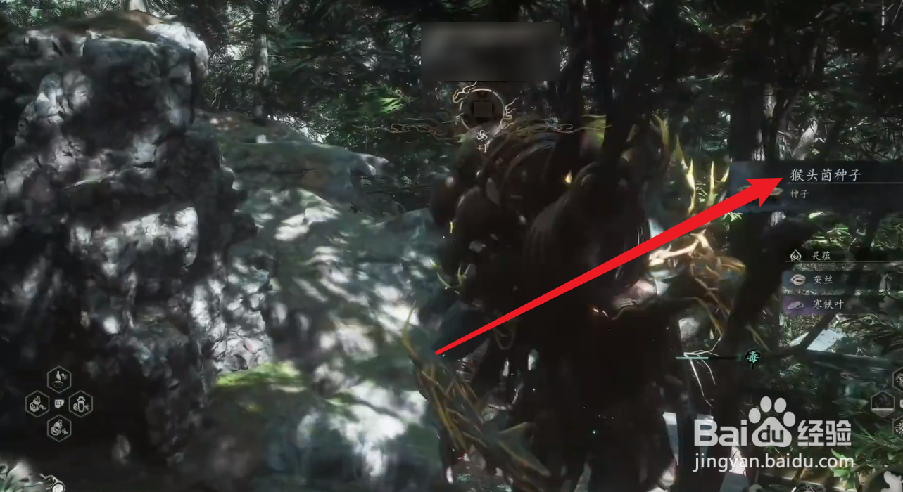 黑神话悟空猴头菌种子在哪获得