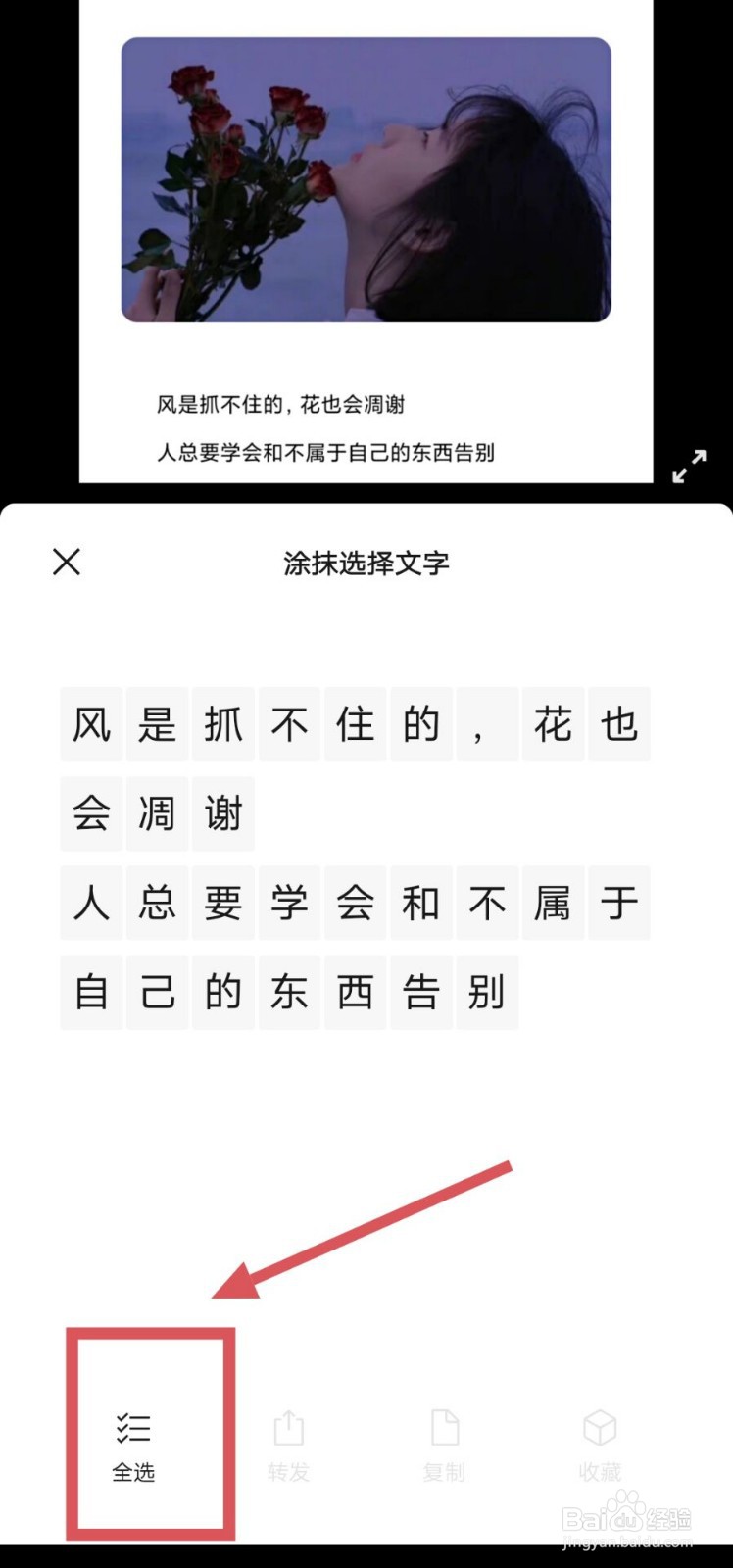 手机图片文字识别提取
