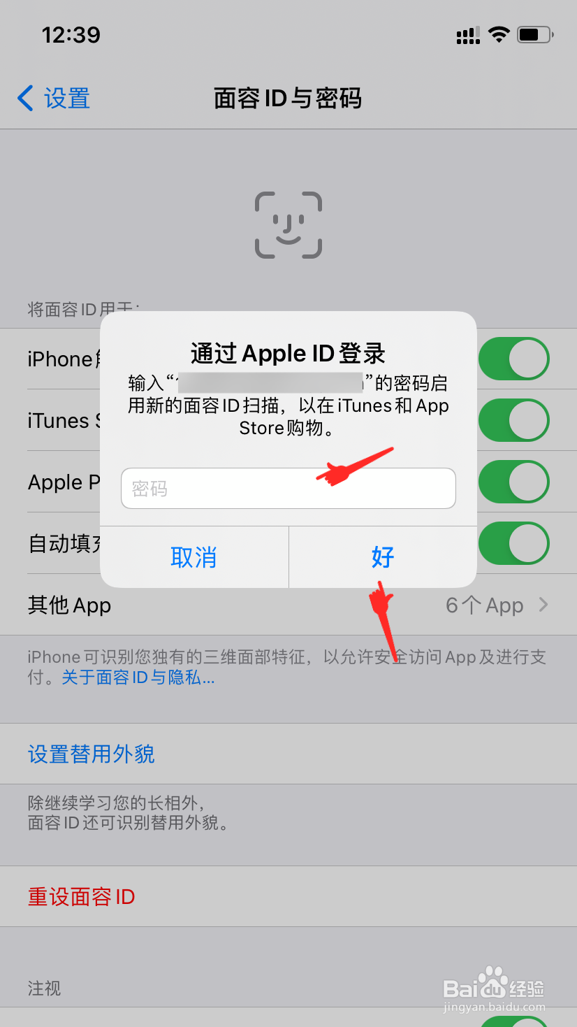 苹果怎么设置人脸识别下载软件