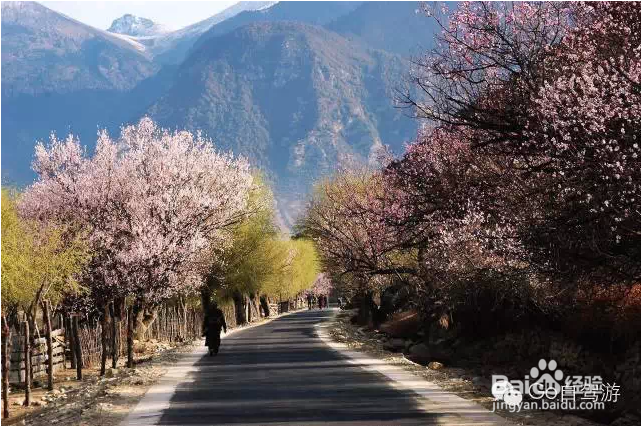 西藏公路式旅行的详细行程规划