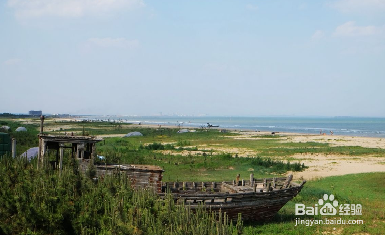 日照海滨国家森林公园好玩吗,怎么玩