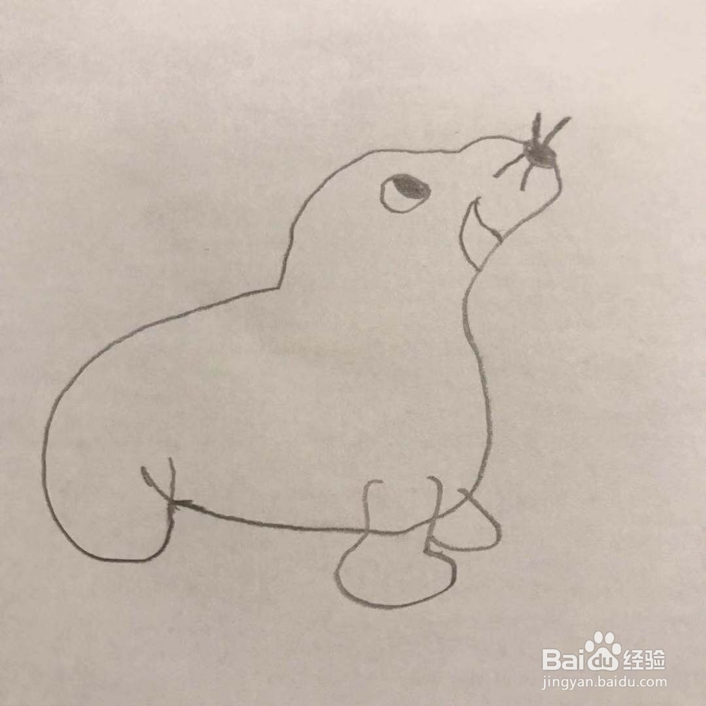 怎么画海豚呢