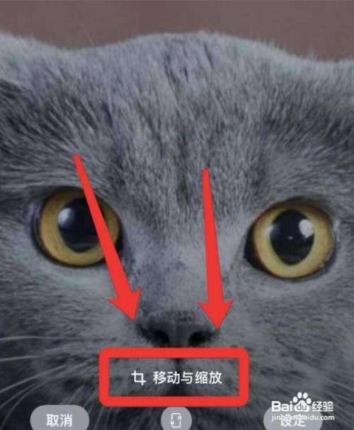 苹果壁纸怎么缩小比例