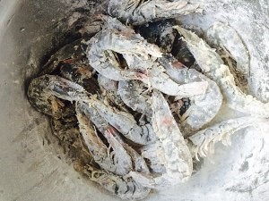 如何制作虾香辣