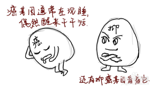 关于肺癌,你不知道的那些事儿