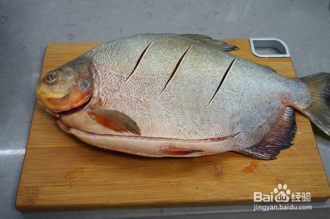 红烧鲳鱼的做法