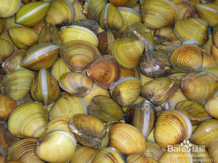 食盐在生活中的任性用法