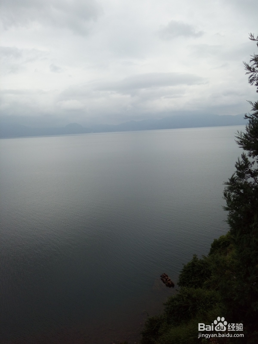 云南最美玉溪抚仙湖之樱花谷湿地公园情侣约会旅