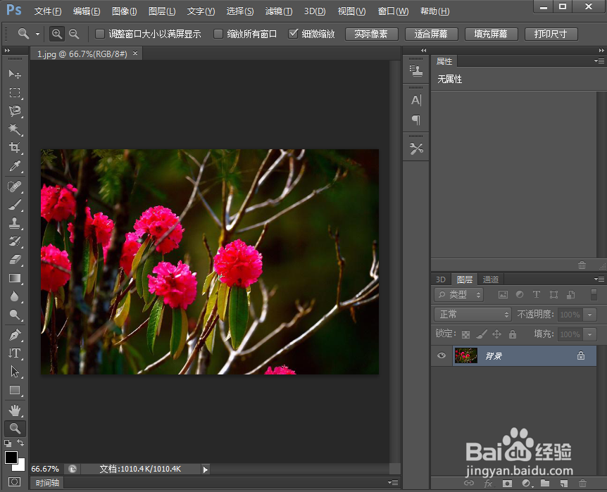 在ps2019中给图片添加干画笔滤镜