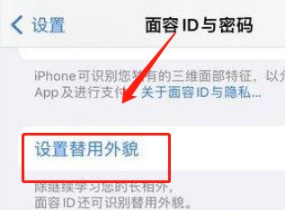 iPhone怎么设置替用外貌功能