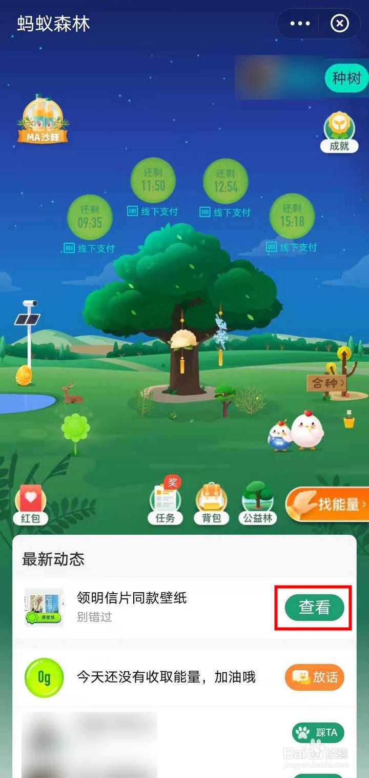 支付宝蚂蚁森林如何获取明信片同款壁纸