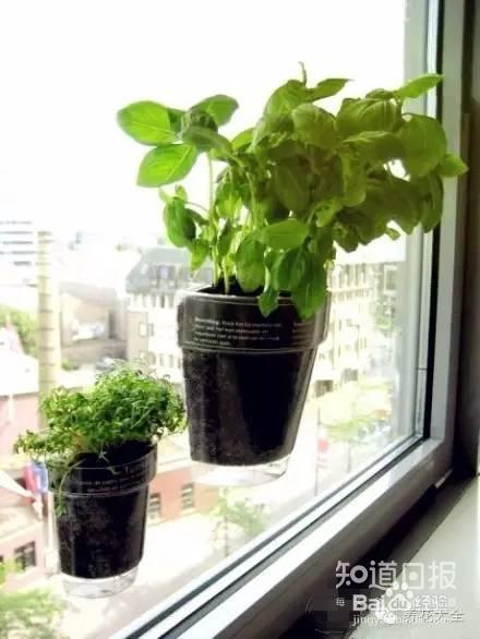 00后竟然用这种花盆,我们都落伍了!