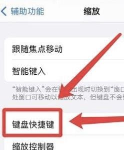 怎么打开iphone键盘快捷键？