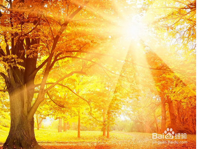 别人感谢你该怎么回复？