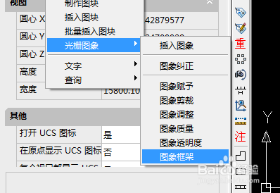 cass9.1小技巧之光栅图像