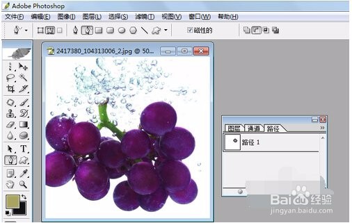 怎么在Photoshop中创建工作路径？