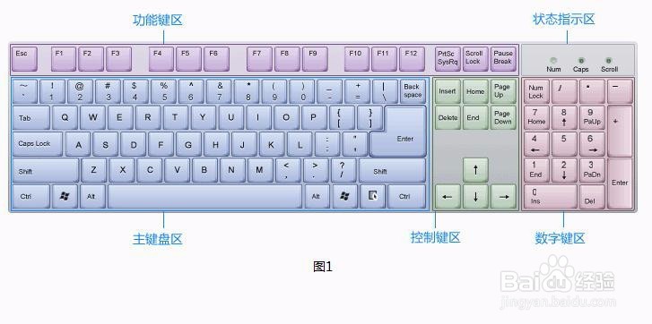 电脑初学者必看键盘基本分区