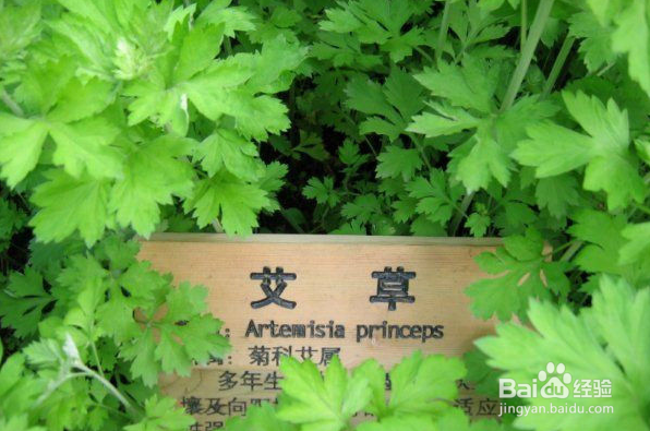 月子里吹了风怎么办