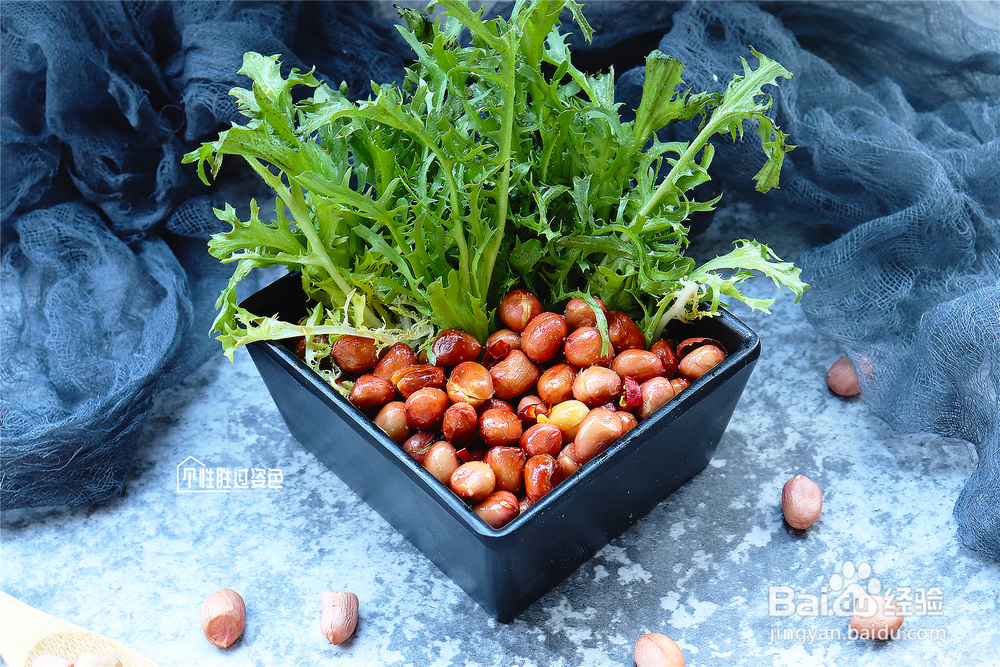 不能拒绝的花生苦菊