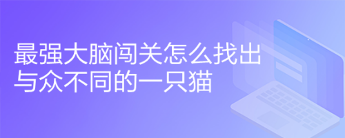最强大脑闯关怎么找出与众不同的一只猫