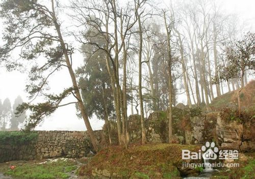 长沙张家界旅游攻略