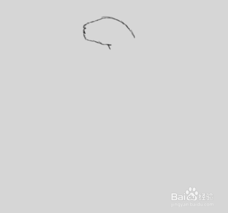 用素描画眼镜蛇的所有教程