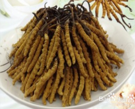 高价回收冬虫夏草?是功效还是利益?