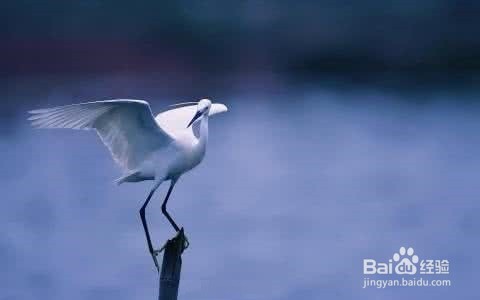 职场求职细节分享-面试点滴