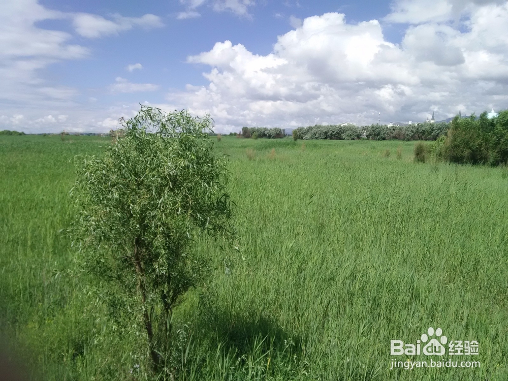 内蒙最佳旅游地?