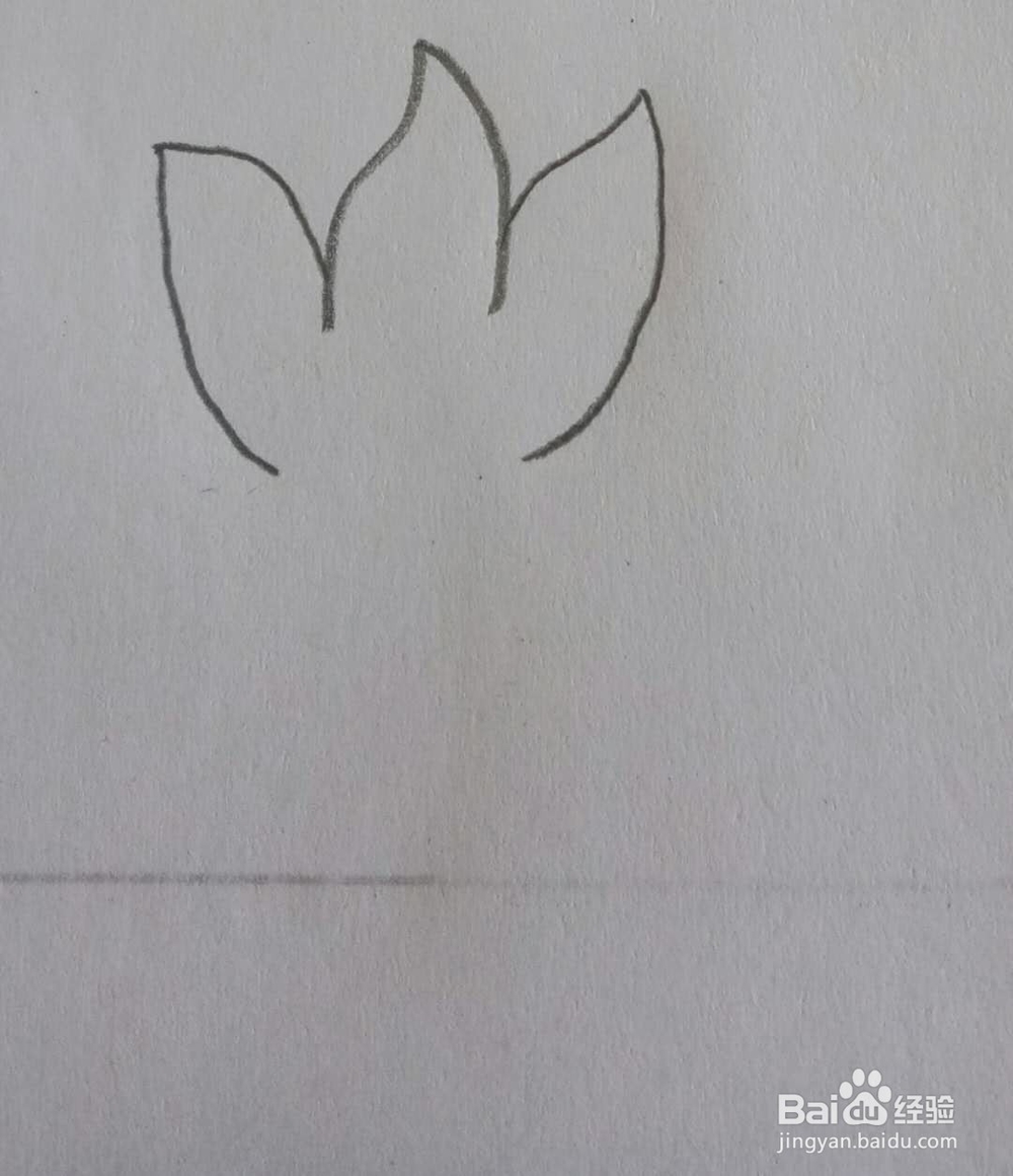 教你画简笔画小草画法7