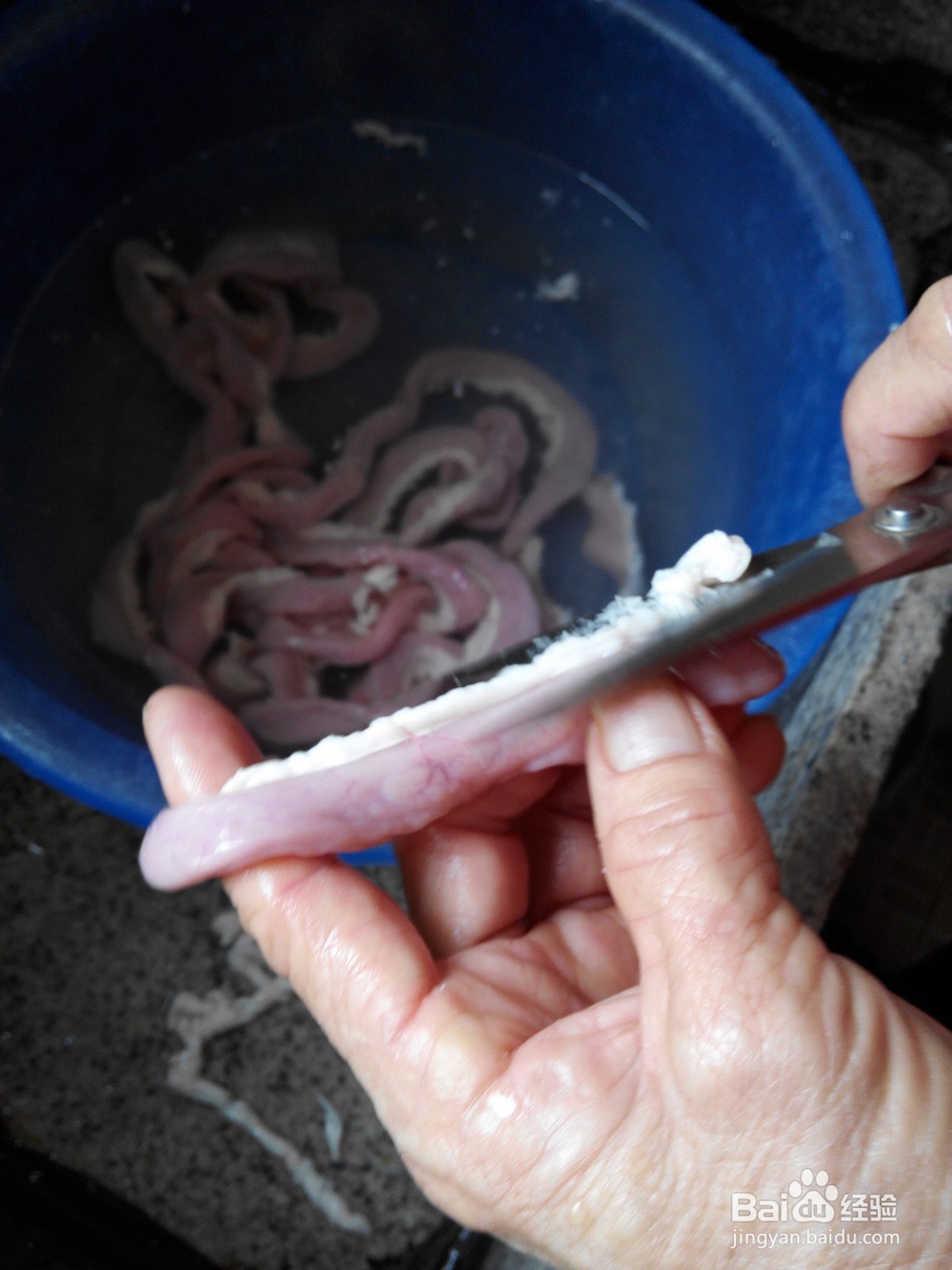 如何清洗猪小肠
