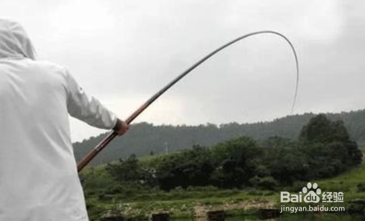 鱼竿不直就是腰力不好吗？鱼竿腰力重要吗