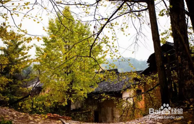 秋天必去的10个古村落,挑一个出发吧