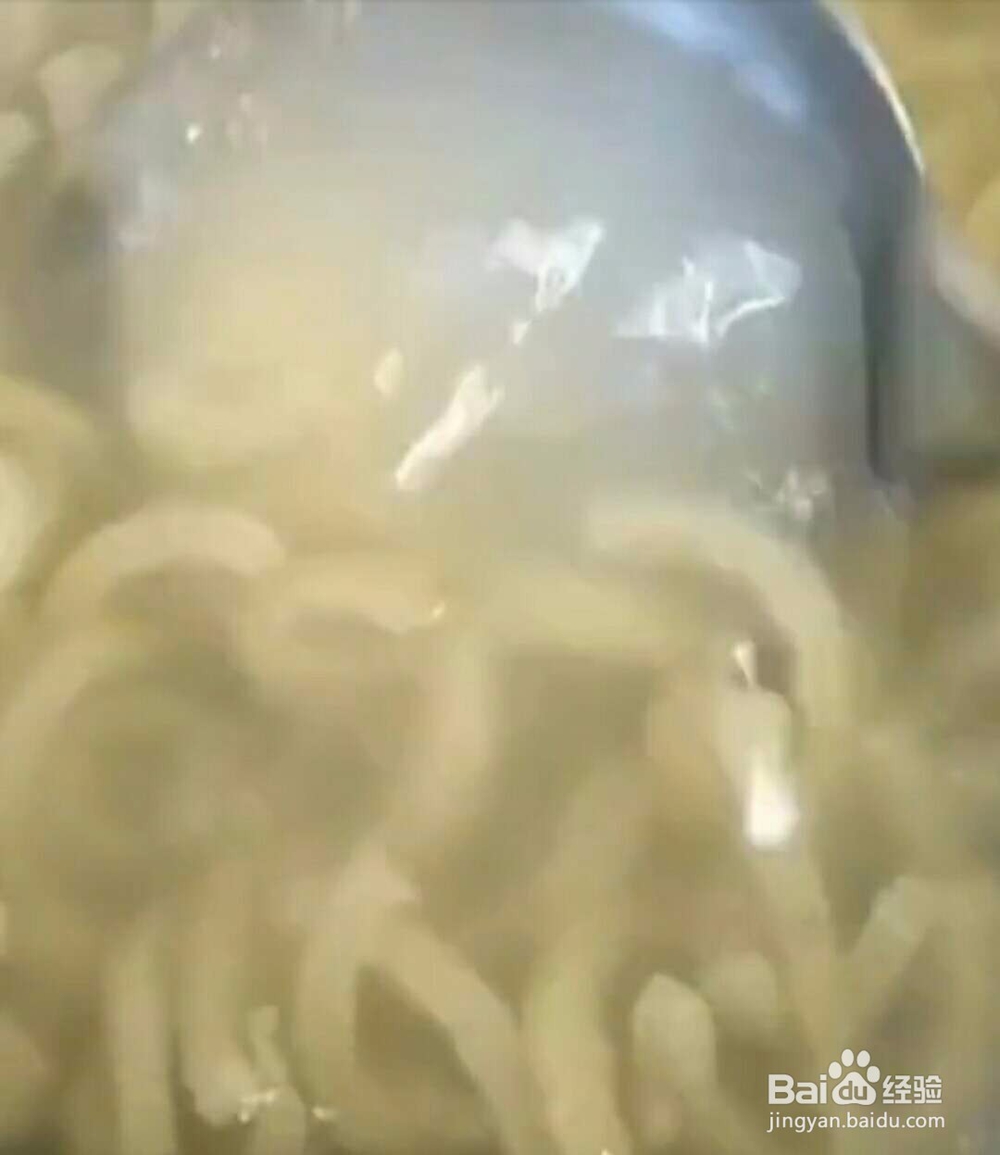 东北猪皮冻做法