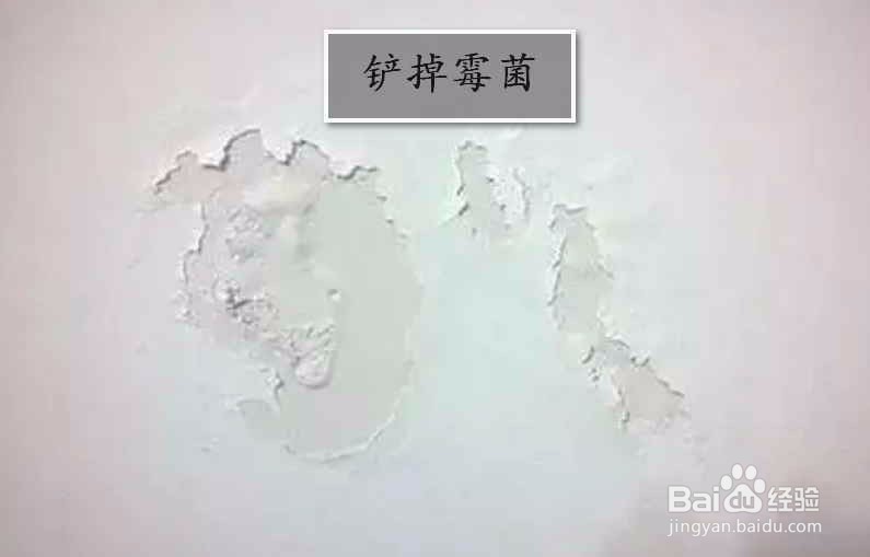 墙壁长霉菌要怎么处理