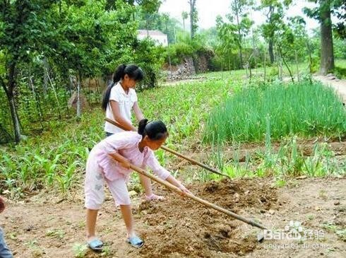 如何培养和爱孩子