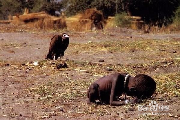 手机拍摄图片之最重要的构图