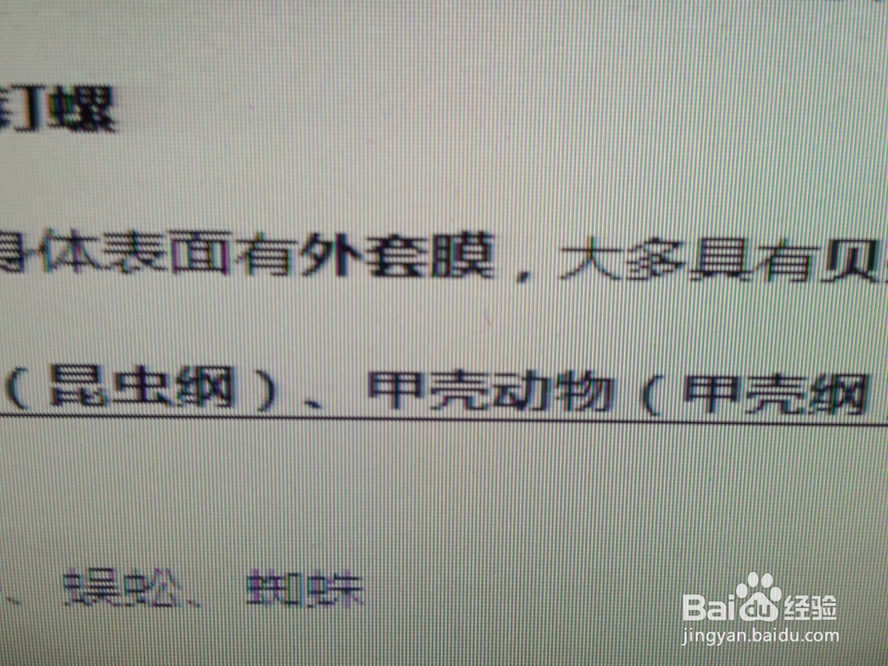 中考前复习把知识穿成线的方法