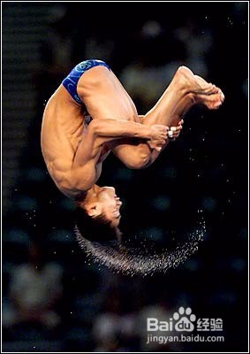 跳水奥运比赛规则