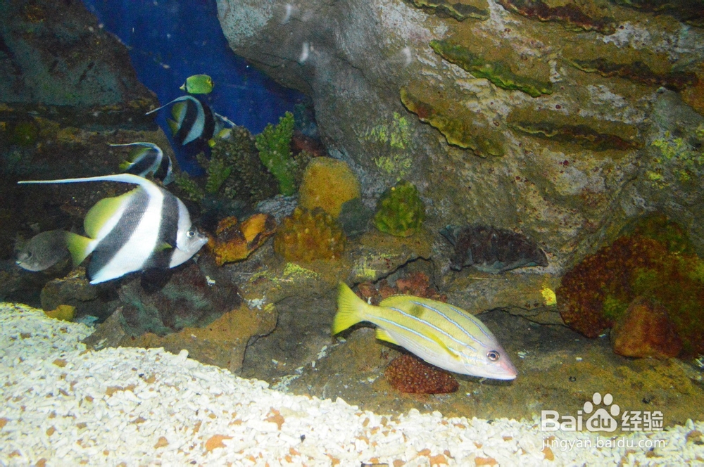 大连一日游攻略