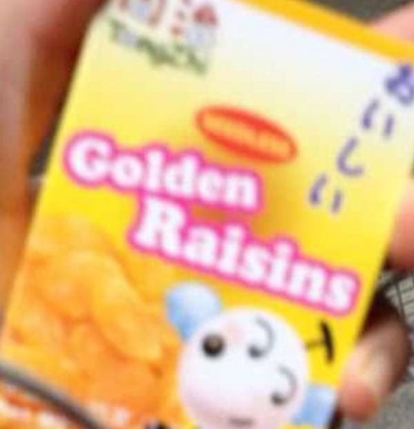 提子南瓜朱古力糯米小子