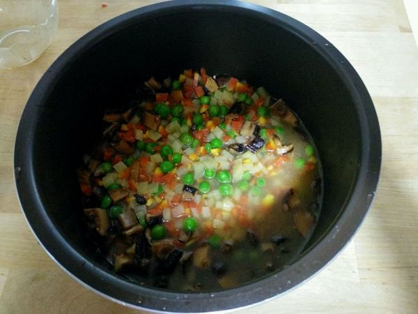 杂蔬牛肉焖饭