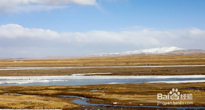 青海海西州摄影攻略