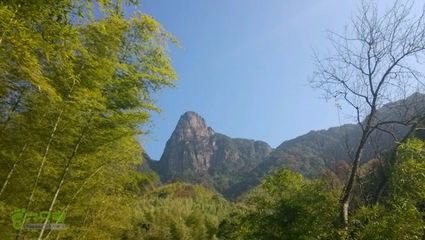 流溪河国家森林公园自助游攻略