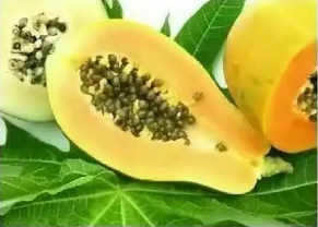 怎么吃都吃不胖的食物有哪些